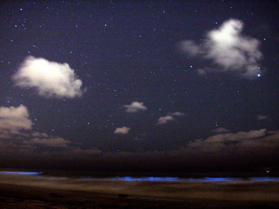 Glowing blue-green bioluminescent waves at night on a beach under a starry sky