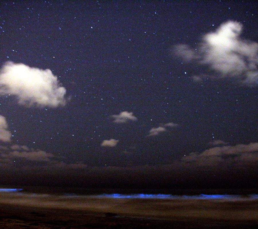 Glowing blue-green bioluminescent waves at night on a beach under a starry sky