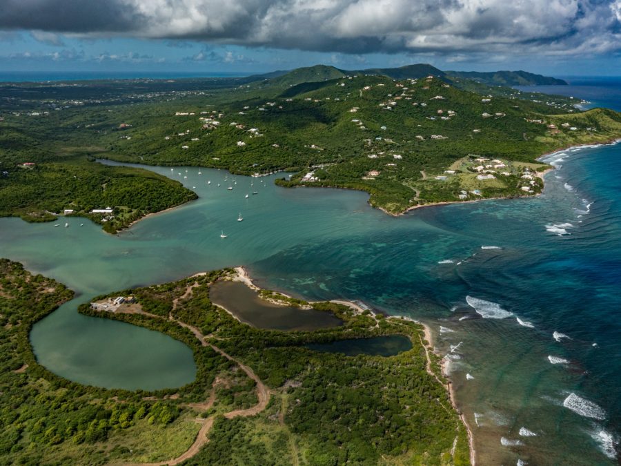 Aerial daytime view of a bioluminescent bay and mangrove coastline