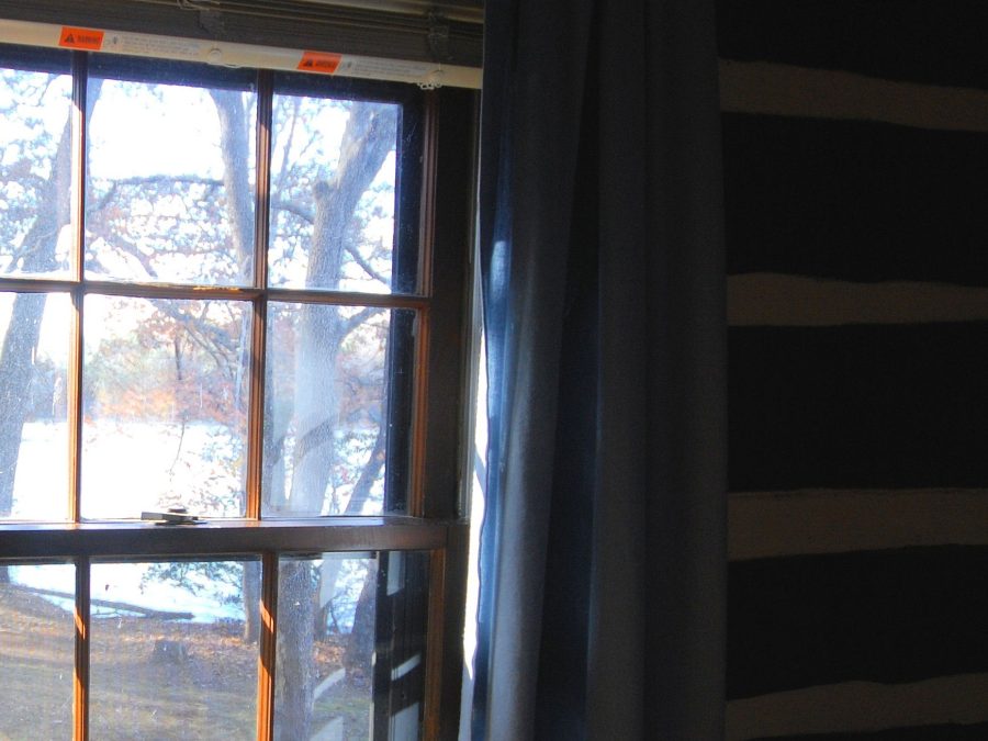 A cabin window pane framed by curtains, view of trees outside