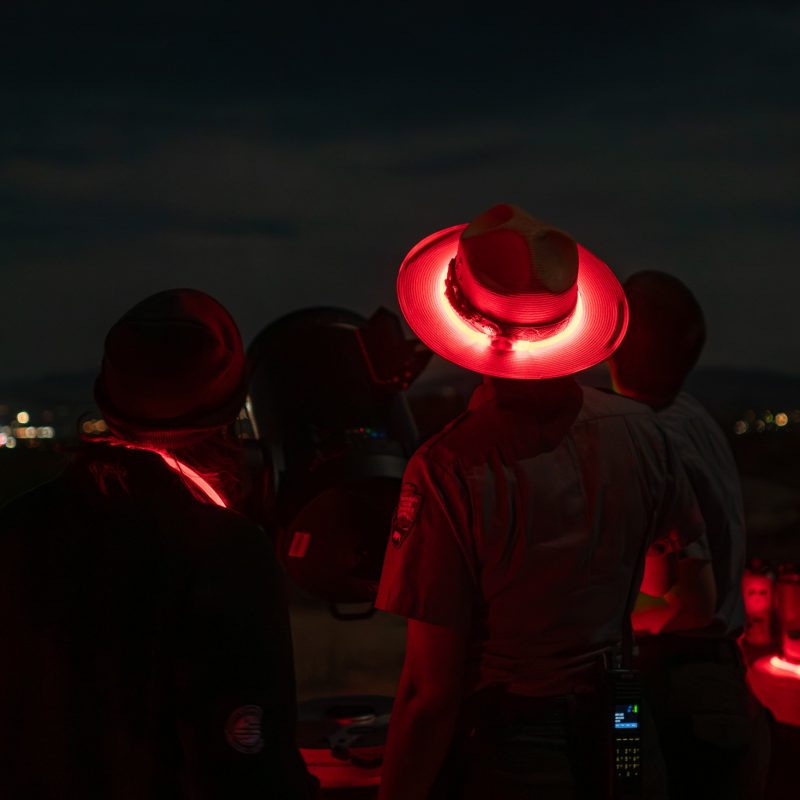 A group of figures silhouetted in red light at night, seen from behind